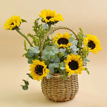 Sunflower Shine, Sunflowers, Yellow Solidaster, Beautiful Basket